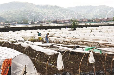 minimum wage benguet